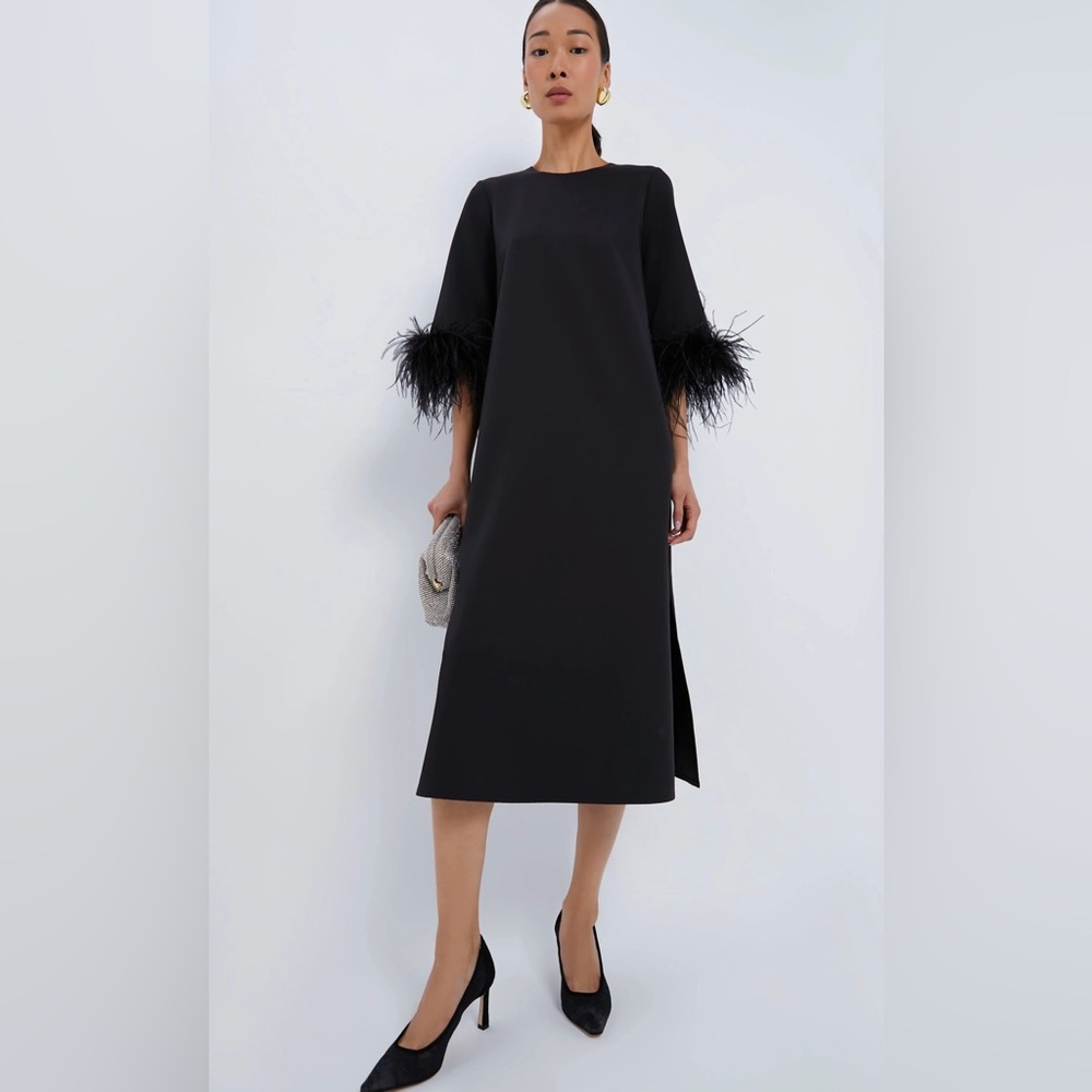 Tuckernuck Black Feather Sleeve Dress